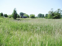 img20