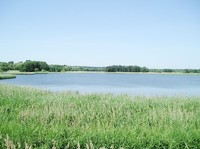 img36