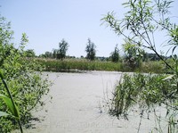 img40