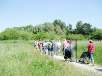 img43