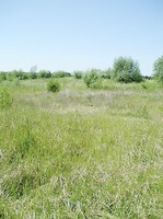 img44