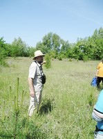 img45