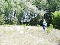 img46
