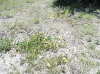 img47