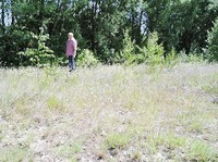 img48