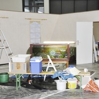 Beginn der Bepflanzung