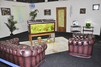 Der Schatz im Wohnzimmer