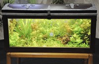 Der Schatz im Wohnzimmer 2