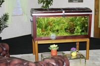 Der Schatz im Wohnzimmer(3)