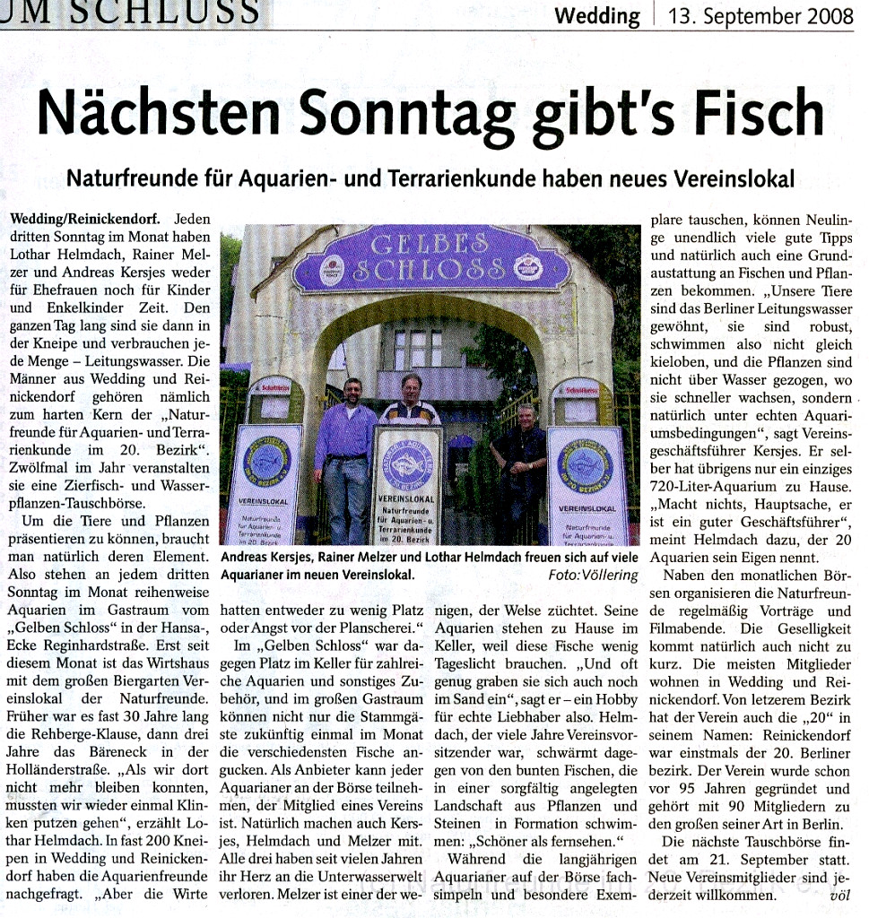 Abendblatt Artikel
