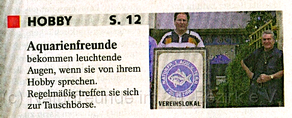 Abendblatt Titel
