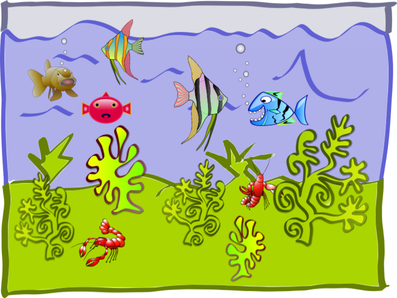 poppiges Aquarium