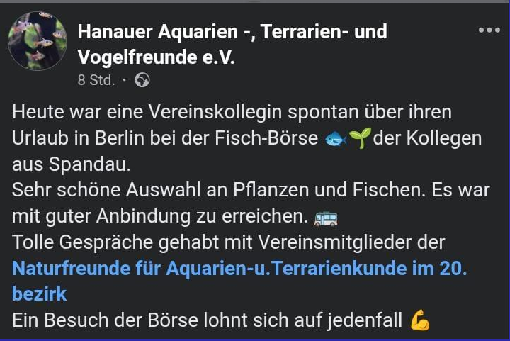 Meinung aus Hanau