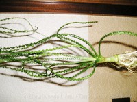img40