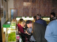 img48