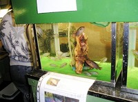 img9