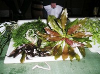 img12